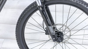 Trek Powerfly 4 Mountain E-Bike - 2022, Medium