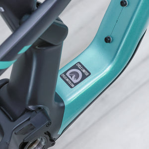 Canyon Spectral 29 CFR Carbon Mountain Bike Frameset - 2023, Small