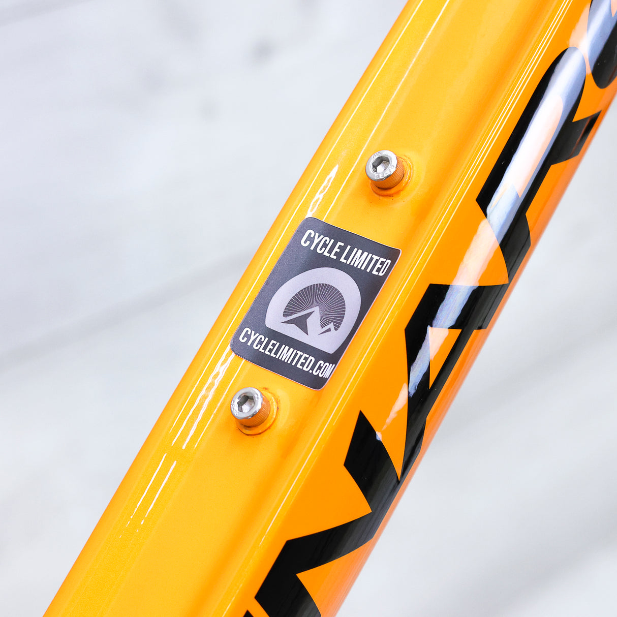 Pinarello Prince FX Disc Road Bike Frameset - 2019, 55cm