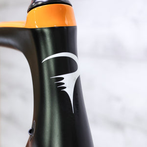 Pinarello Prince FX Disc Road Bike Frameset - 2019, 55cm