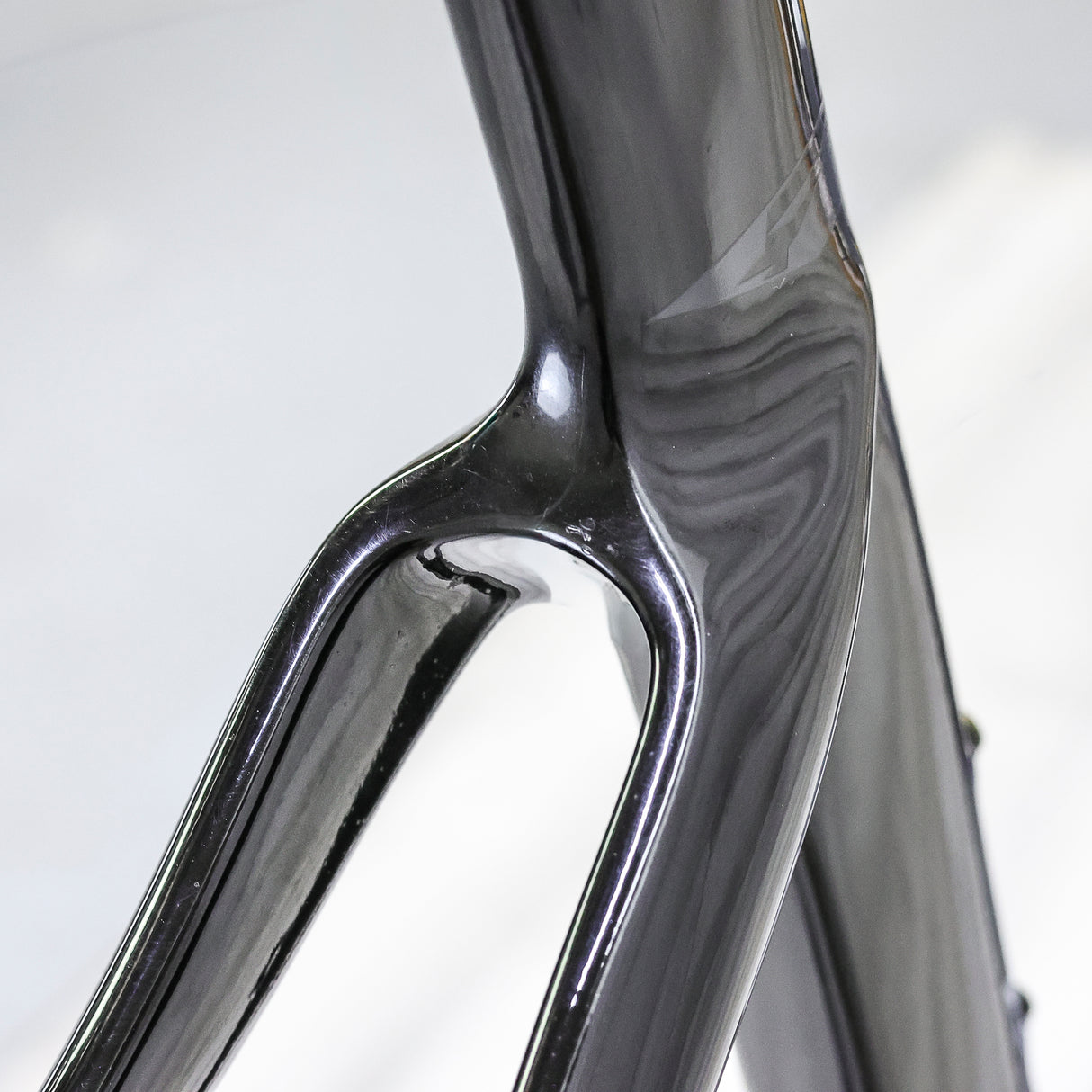 Pinarello Dogma F Disc Road Bike Frameset - 2023, 56cm