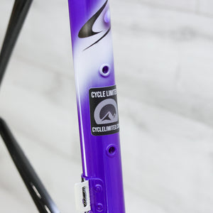 Colnago Dream B Stay Road Bike Frameset - 2004, Small