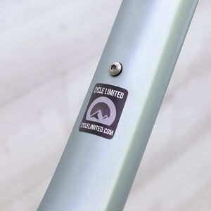 Ibis DV9 Hardtail Mountain Bike Frameset - 2025, Small