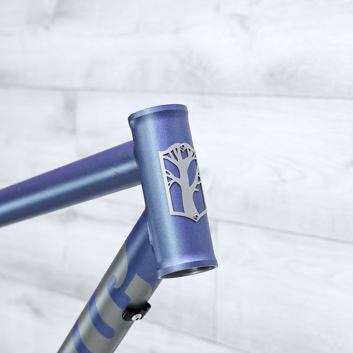 Mosaic MT-2 Titanium Hardtail Mountain Bike Frameset - 2023, X-Large