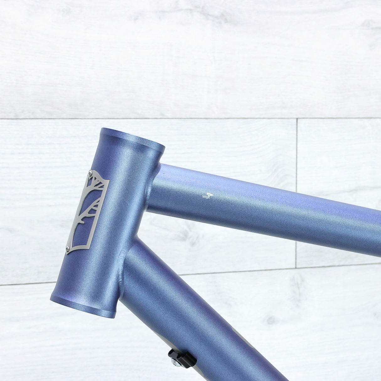 Mosaic MT-2 Titanium Hardtail Mountain Bike Frameset - 2023, X-Large