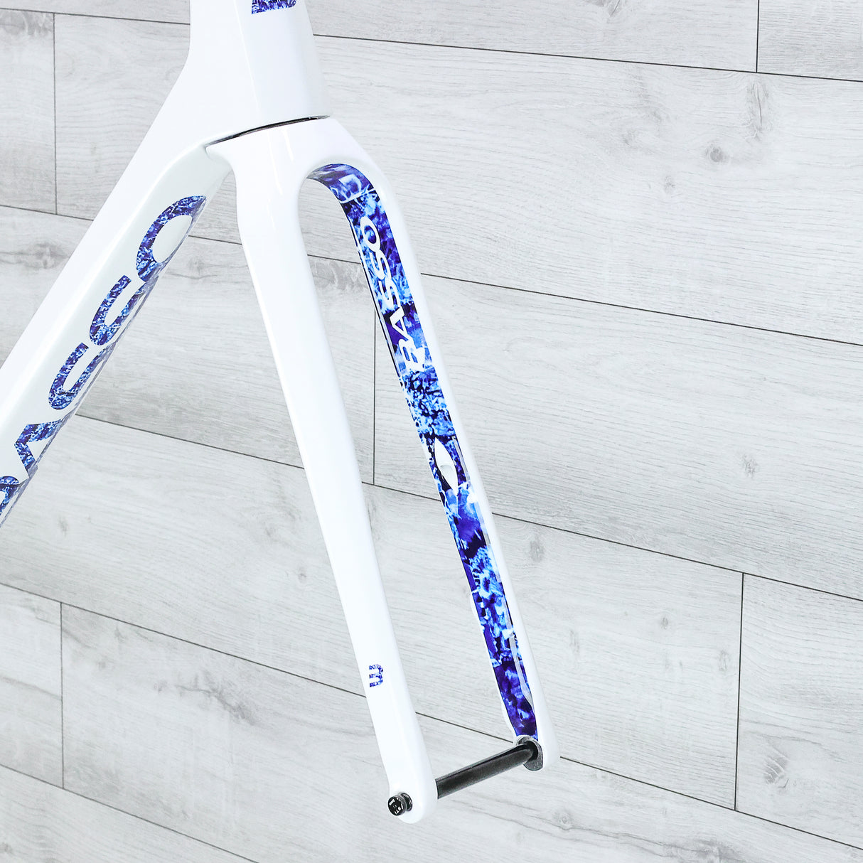 Basso Palta Carbon Gravel Bike Frameset - 2024, Large