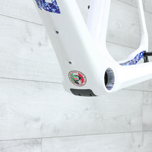 Basso Palta Carbon Gravel Bike Frameset - 2024, Large