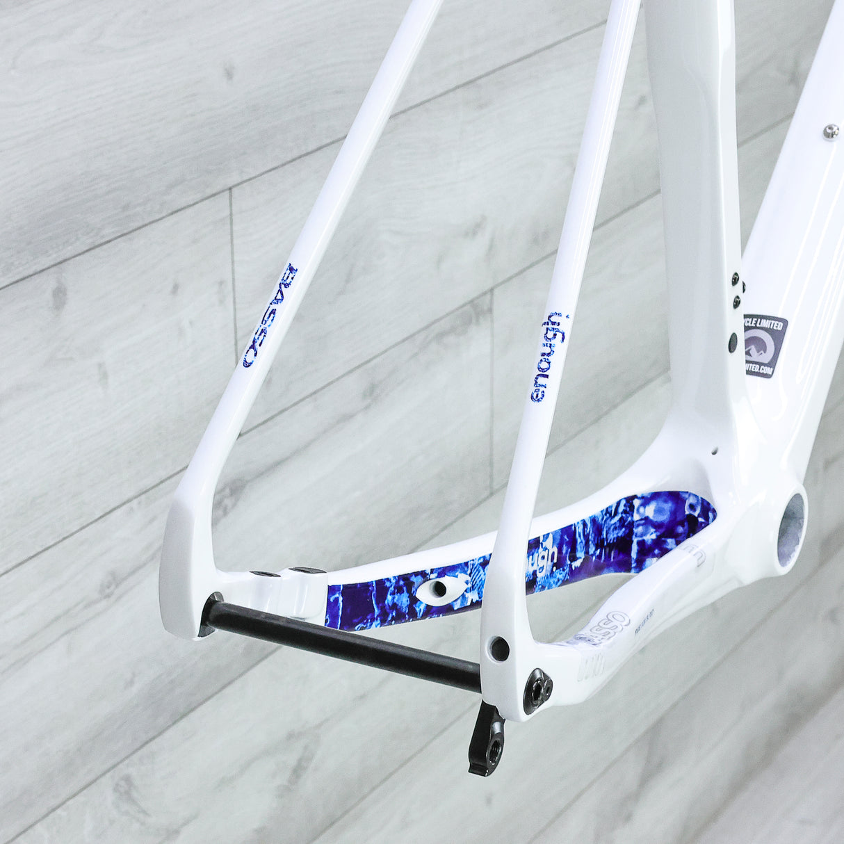 Basso Palta Carbon Gravel Bike Frameset - 2024, Large