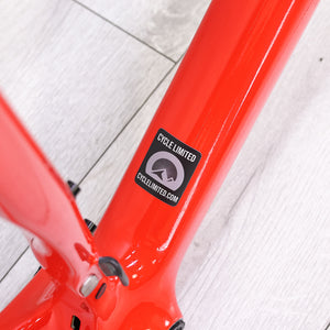 Canyon Endurace CF Road Bike Frameset - 2025, XX-Large