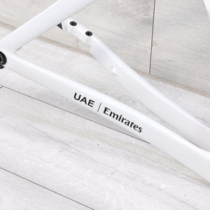 Colnago Y1Rs Road Bike Frameset - 2026, Small