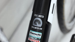2014 Bianchi Sempre Pro  Road Bike - 57cm