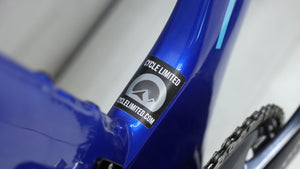 2020 Trek Speed Concept Project One  Triathlon Bike - Large