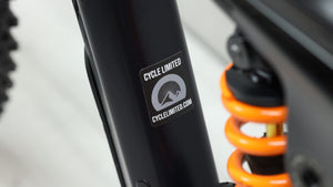 2020 Canyon Strive CF  Mountain Bike - Medium
