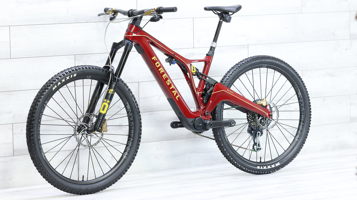 2021 Forestal Siryon Diode Mountain E-Bike - Medium