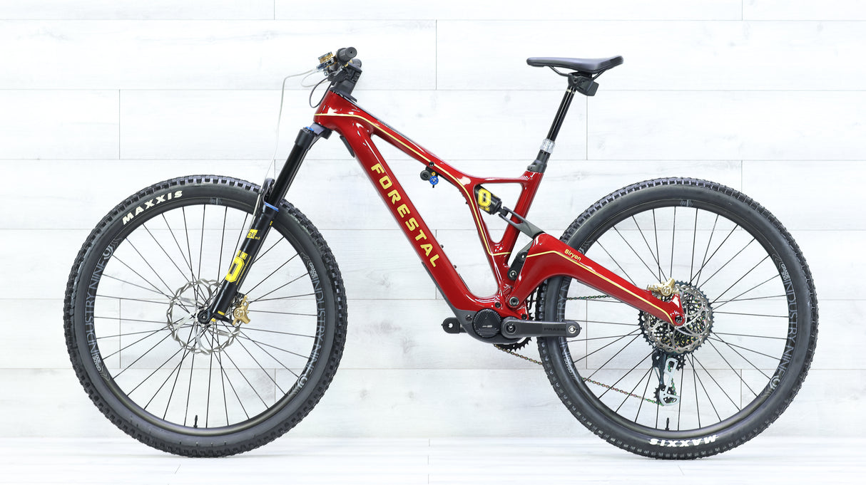 2021 Forestal Siryon Diode Mountain E-Bike - Medium