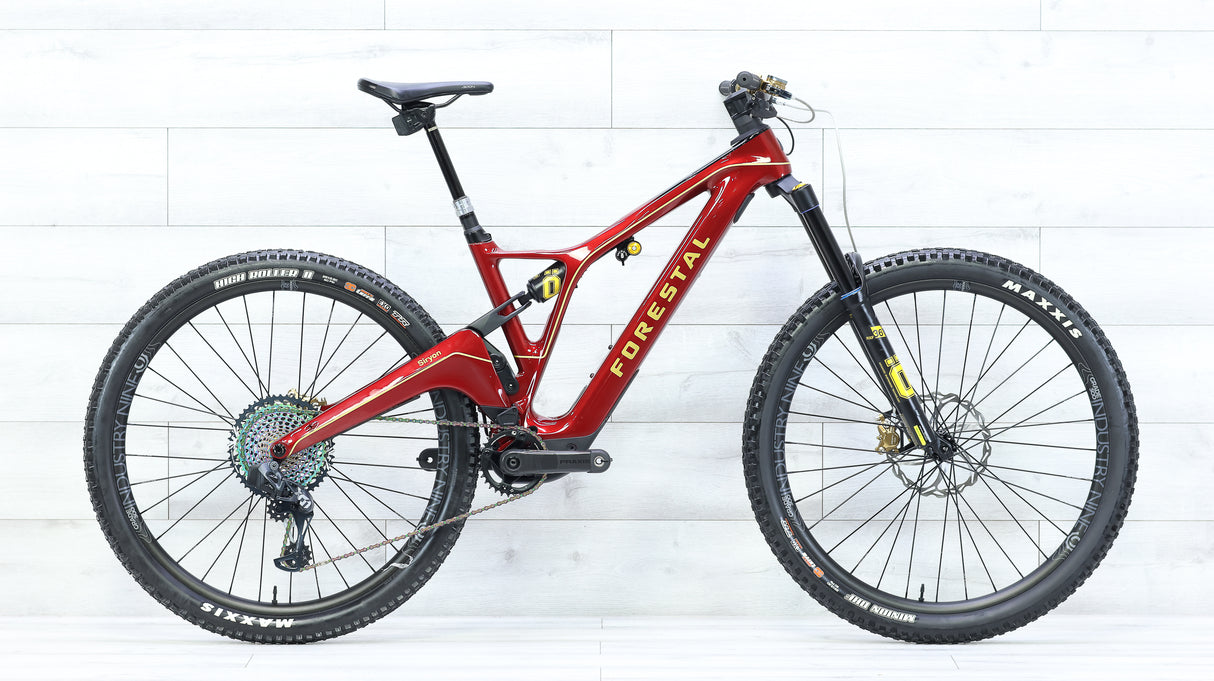 2021 Forestal Siryon Diode Mountain E-Bike - Medium