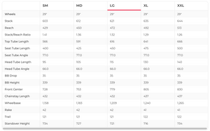 YT Izzo Pro 29 Mountain Bike - 2021, Large