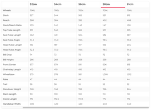 Specialized Aethos Expert Shimano Ultegra Di2 Road Bike - 2021, 58cm