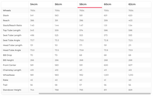 Trek Madone SLR 6 Disc Speed Road Bike - 2020, 58cm