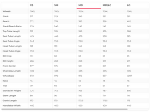Giant TCR Advanced 2 Campagnolo Road Bike - 2019, Medium