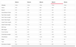 Trek Checkpoint SL 6 Gravel Bike - 2019, 58cm