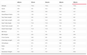 Cervelo S5 Rival eTap AXS Disc Road Bike - 2020, 58cm