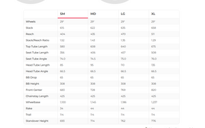 Ibis DV9 Hardtail Mountain Bike Frameset - 2025, Small