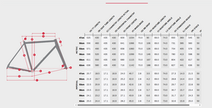 Niner ORE 9 RDO - 4 Star Shimano GRX 800 Gravel Bike - Transparent Green