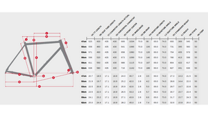 Niner ORE 9 RDO Gravel Bike Frameset - Transparent Green