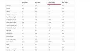 Salsa Blackthorn Mountain Bike - 2021, Medium