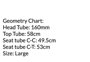 Hampsten Cinghiale Campagnolo Record Steel Road Bike - 2002, Large