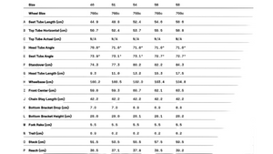 Cannondale SuperSix EVO SE Gravel Bike - 2023, 51cm
