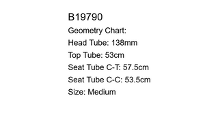 Independent Fabrication Crown Jewel Titanium Road Bike - 2011, 53cm