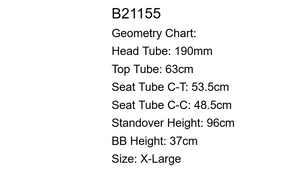 Carver Newsboy Titanium Mountain Bike - 2022, X-Large