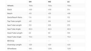 Canyon Speedmax CF SLX 9.0 LTD Triathlon Bike - 2020, Medium