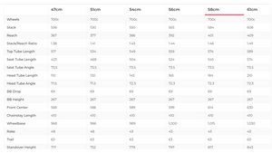 BMC Teammachine SLR Four Road Bike - 2024, 58cm