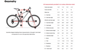 Trek Farley EX 8 Fat Mountain Bike - 2018, Large