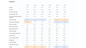 Rodeo Labs Flaanimal 5.0 Titanium Gravel Bike - 2023, 54cm