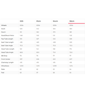 3T Exploro Ultra Graphite Gravel Bike Frameset - 56cm
