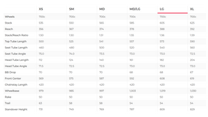 Lynskey Sportive Disc Titanium Road Bike - 2021, Large