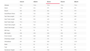 Specialized Ruby Sport Road Bike - 2019, 51cm