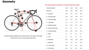 Trek Domane SL 6 Road Bike - 2019, 54cm