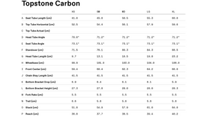 Cannondale Topstone Carbon Ultegra RX Gravel Bike - 2021, Large