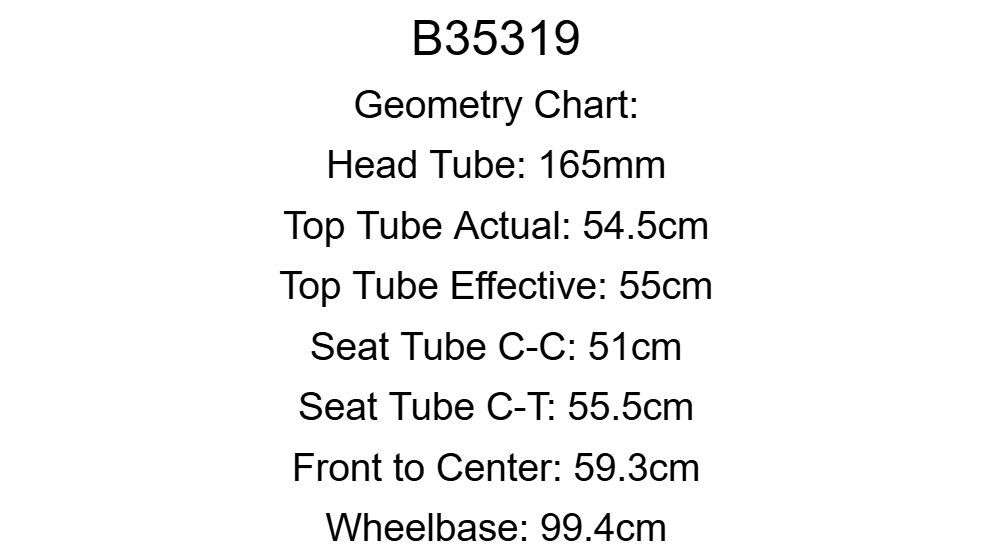 Condor Super Acciaio Campagnolo Chorus Steel Road Bike - 2020, 55cm