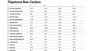 Cannondale Topstone Neo 2 Carbon XX1 AXS Gravel E-Bike - 2022, Medium