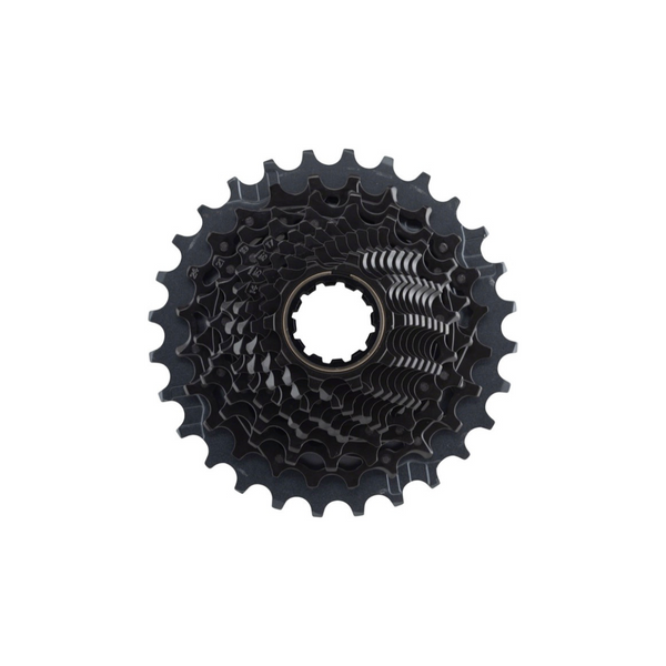 リエ NA176-1.jpg?v=1702621099