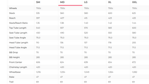 Revel Rover Gravel Bike - 2024, Medium